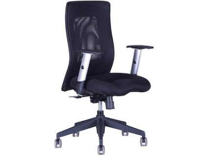 Kapitola 10 - Nové obrázky/zidle-calypso-xl-cerna-bez-podhlavniku-13388.jpg