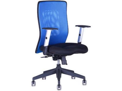 Kapitola 10 - Nové obrázky/zidle-calypso-xl-modra-bez-podhlavniku-13390.jpg