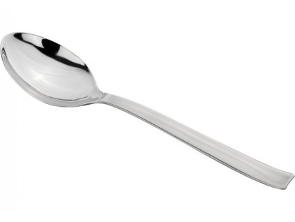 Kapitola 11 - novinky/nerezove-pribory-jidelni-lzice-19cm-3ks-28765.jpg