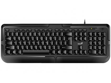 Kapitola 4 - novinky/klavesnice-genius-kb-118-ps-2-28162.jpg