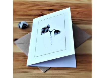 Simplypaper/20219.jpg