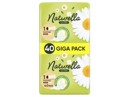 2025/Kapitola 12-novinky/212436_1.jpg