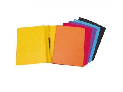 Kapitola 2 - Nové obrázky/rychlovazac-obycejny-cely-prespan-oranzovy-4674.jpg