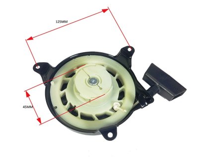 starter silnika spalinowego bs a (1)