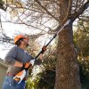 Stihl HTA 50 3
