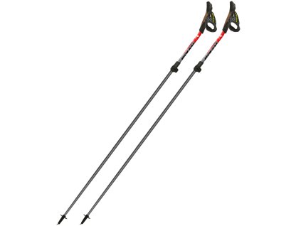 Art 100 033 carbon pro impulse 2025 A