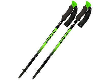 Art 100 005 compact green 2025 A