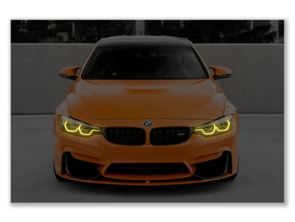martin katler WCNGjNfakuc unsplash (1)