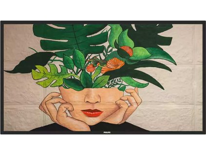 59429 55 d led philips 55bdl4650d uhd va 500cd an 24 7