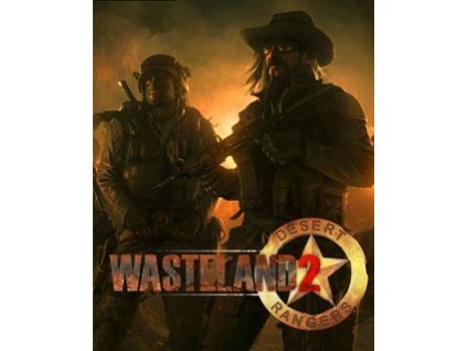 80351 esd wasteland 2 directors cut