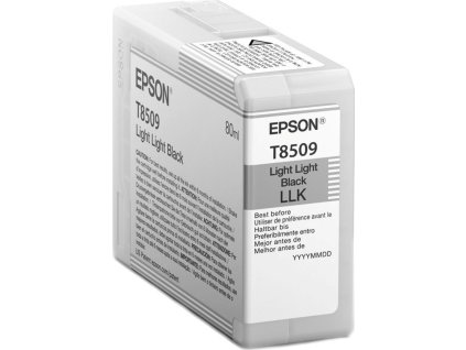 52187 epson singlepack photo light light black t850900 ultrachrome hd ink 80ml