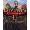 76718 esd divinity original sin 2 divine edition