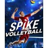 81092 esd spike volleyball