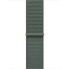 72257 watch acc 42 sage sport loop