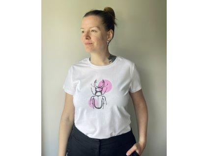 Roháč puntíkatý · vel L