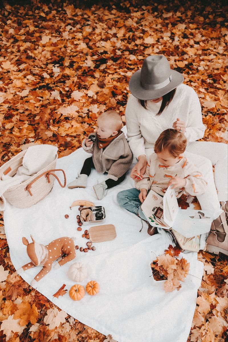 6c8a235409888001c6cd9ff47440c6bd