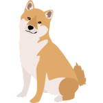 Shiba Inu