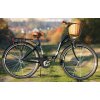 Dámský Městský Retro Kolo 28" Jednopřevodový Černý