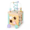 Naučná dřevěná kostka, třídička Ecotoys mula