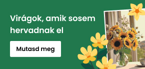 category_banner_big_mobile