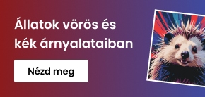 category_banner_big_mobile