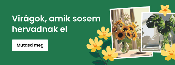 homepage_banner_left