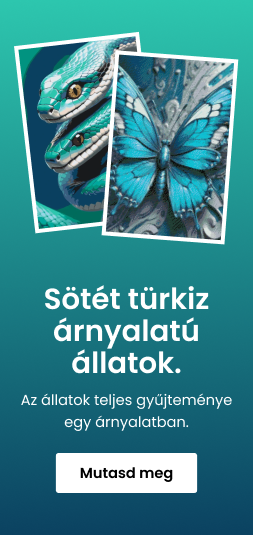 category_banner_small