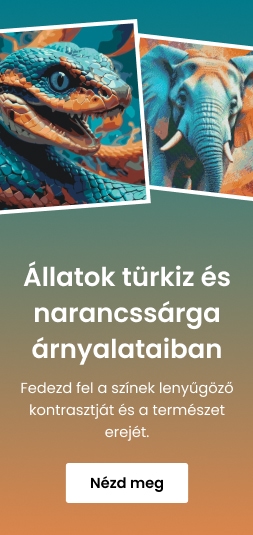 category_banner_small