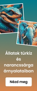 category_banner_small_mobile
