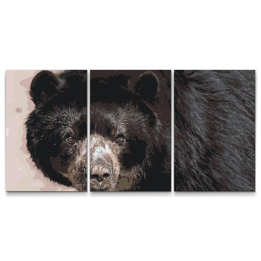 Festes_szamok_szerint_Medve_3_darab_vaszonkep_M7