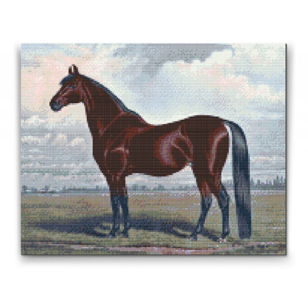 Gyémántszemes festmény – Mesés ló