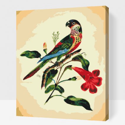 Festés számok szerint – Vintage madár