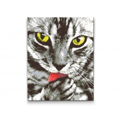 Gyémántszemes kirakó – Ezüst macska