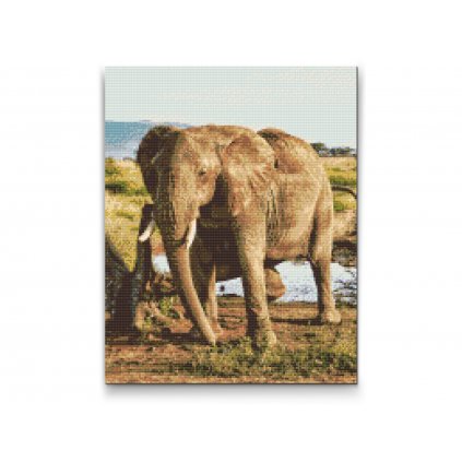 Gyémántszemes festmény – Safari - elefánt
