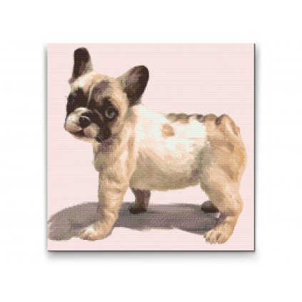 Gyémántszemes festmény – Francia bulldog