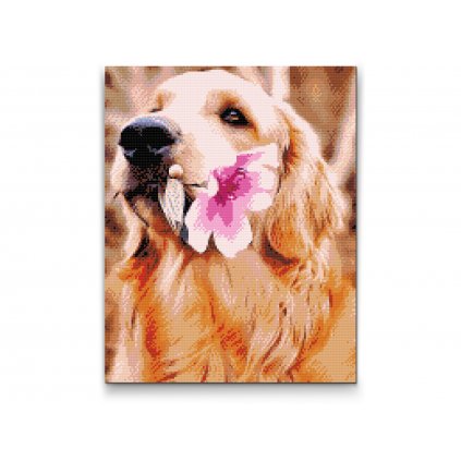Gyémántszemes festmény – Labrador virággal