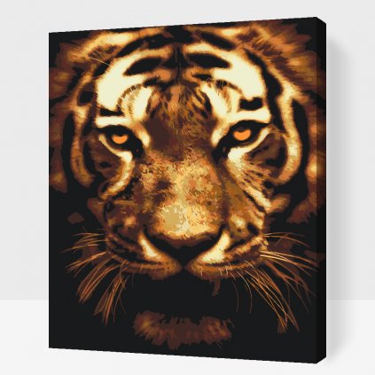 Festés számok szerint – Megvilágított tigris