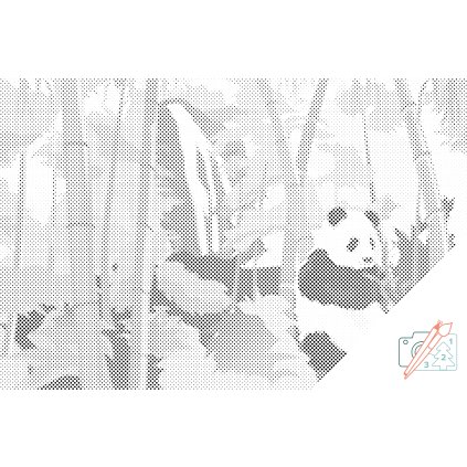 PontPöttyöző – Panda az esőerdőben