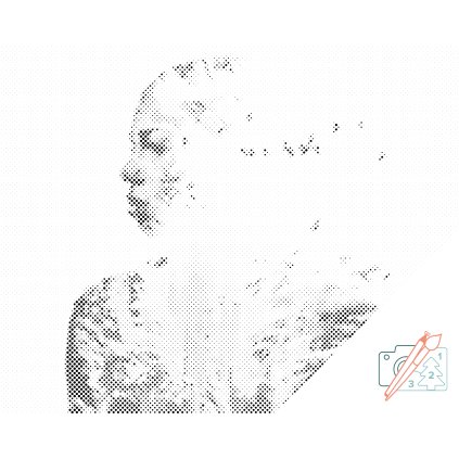 PontPöttyöző – Nő, erdő, madarak