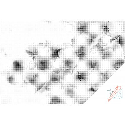 PontPöttyöző – Virágzó cseresznye