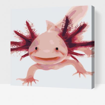 Festés számok szerint - Axolotl 3