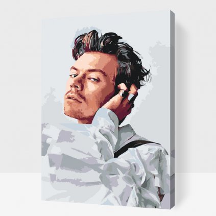 Festés számok szerint – Harry Styles 6