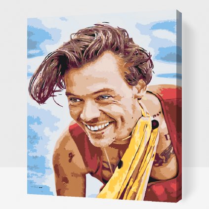 Festés számok szerint – Harry Styles 15