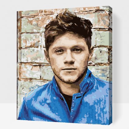 Festés számok szerint – Niall Horan 2