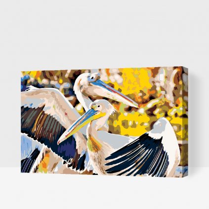 Festés számok szerint – Pelikánok