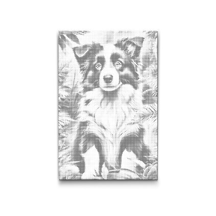 M2_PontPöttyöző_-_Border_collie_kölyökkutya