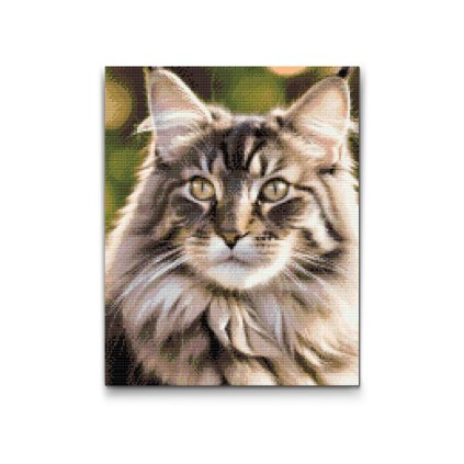 M2_Gyémántszemes_kirakó_-_Maine_Coon_macska