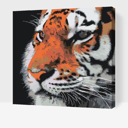 Festés számok szerint – Tigris