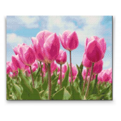 Gyémántszemes festmény – Rózsaszín tulipánok