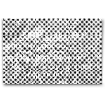 PontPottyozo_Festett_tulipanok_M2